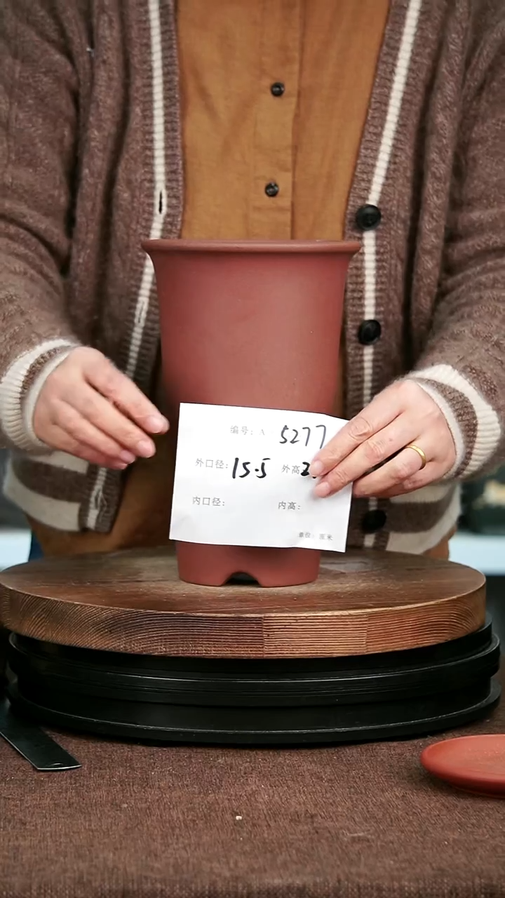 紫砂花盆花卉园艺5227