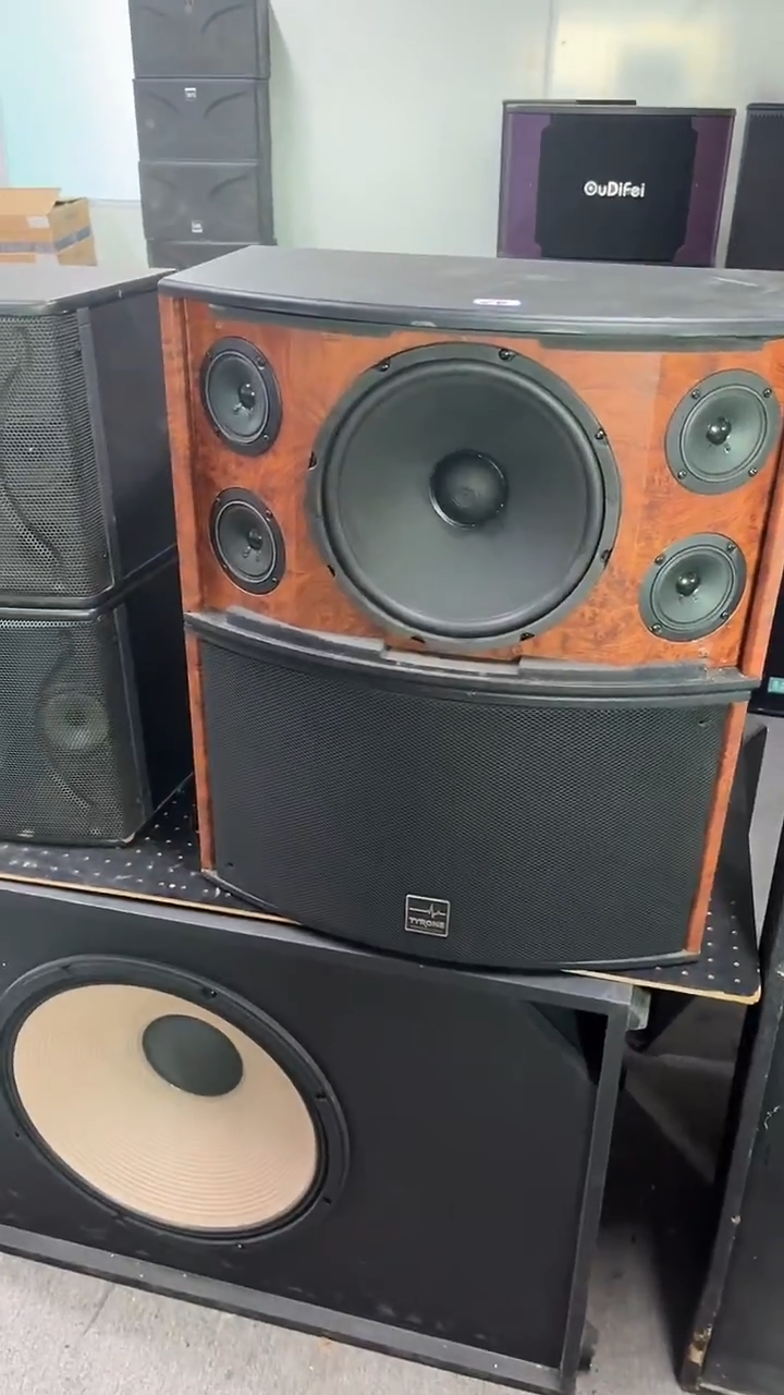 8新不包邮 10寸4高音卡包音响  KTV音箱一对   运费到付