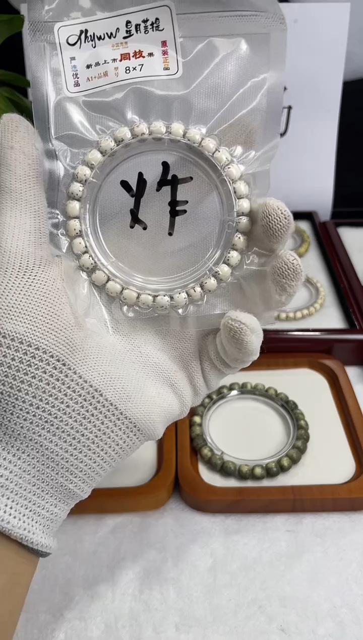 星月菩提手串8*7骨瓷白河豚海南原生态单圈