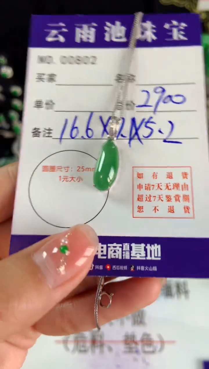 【闪购商品】翡翠颈饰18K金镶嵌翡翠