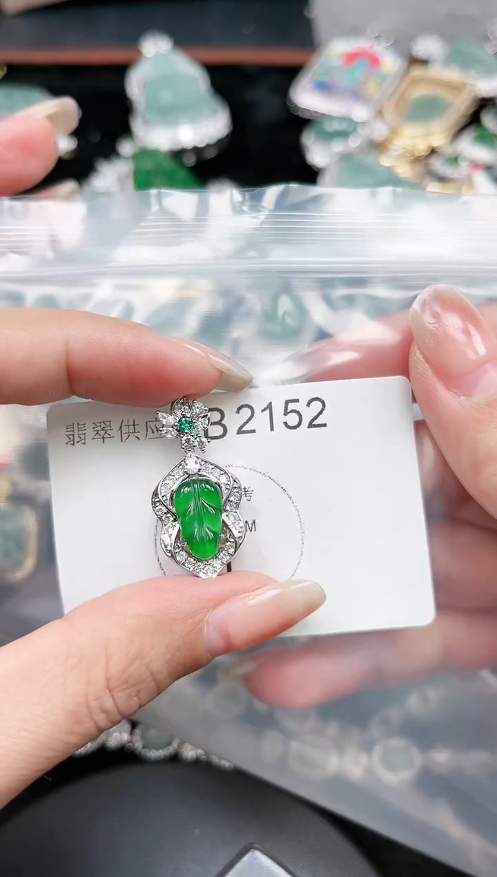 【闪购商品】翡翠颈饰未镶嵌赠皮绳2152