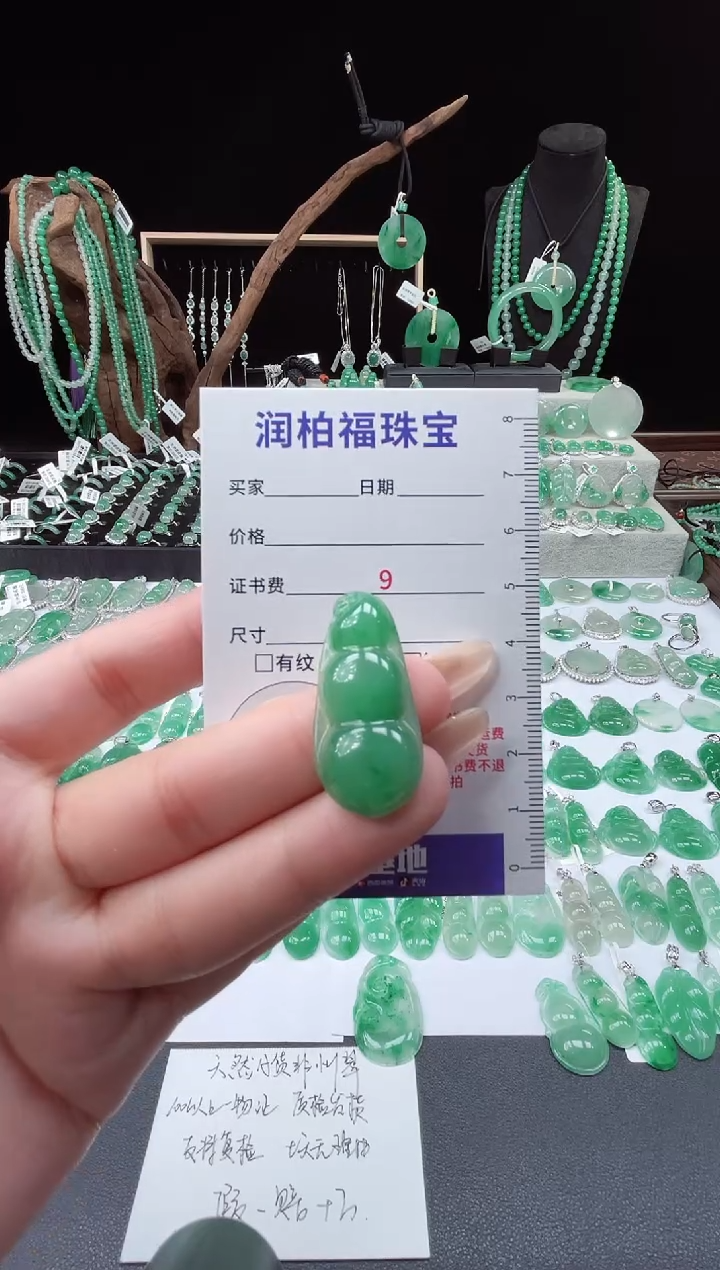 吊坠(赠链)未镶嵌石英质玉（非洲翠）22.12豆子