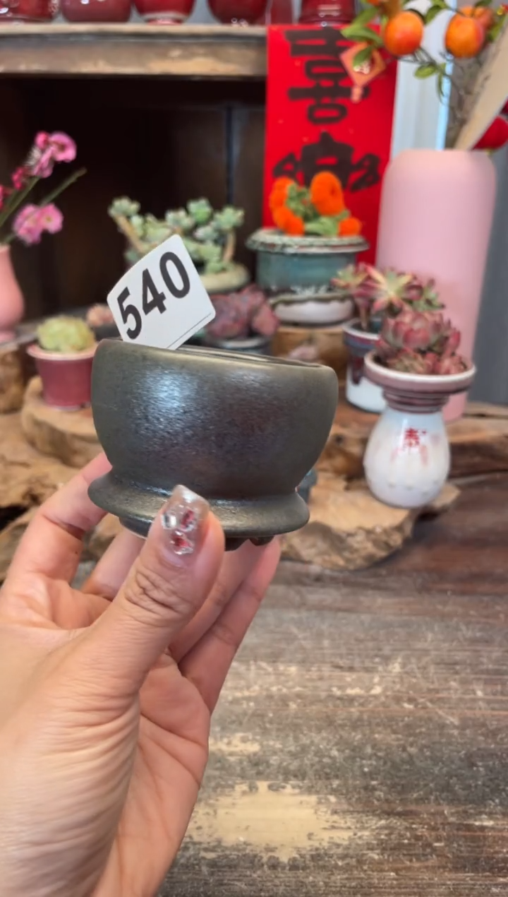 【闪购商品】摆件540知木小芳花盆