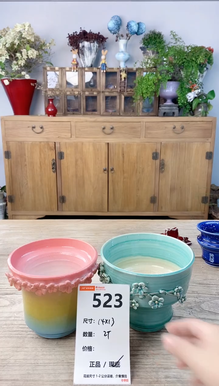 小玩子花盆直播号523