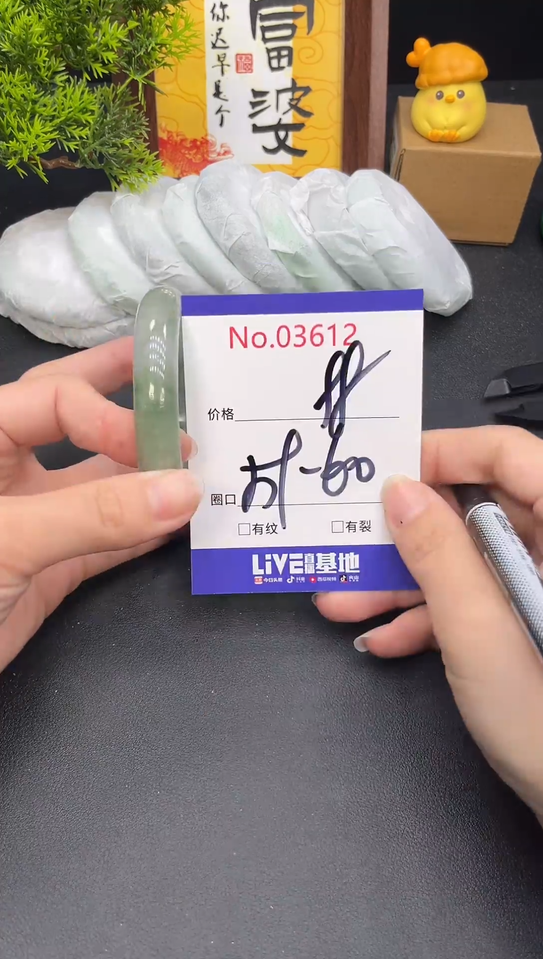 未镶嵌手镯翡翠3612