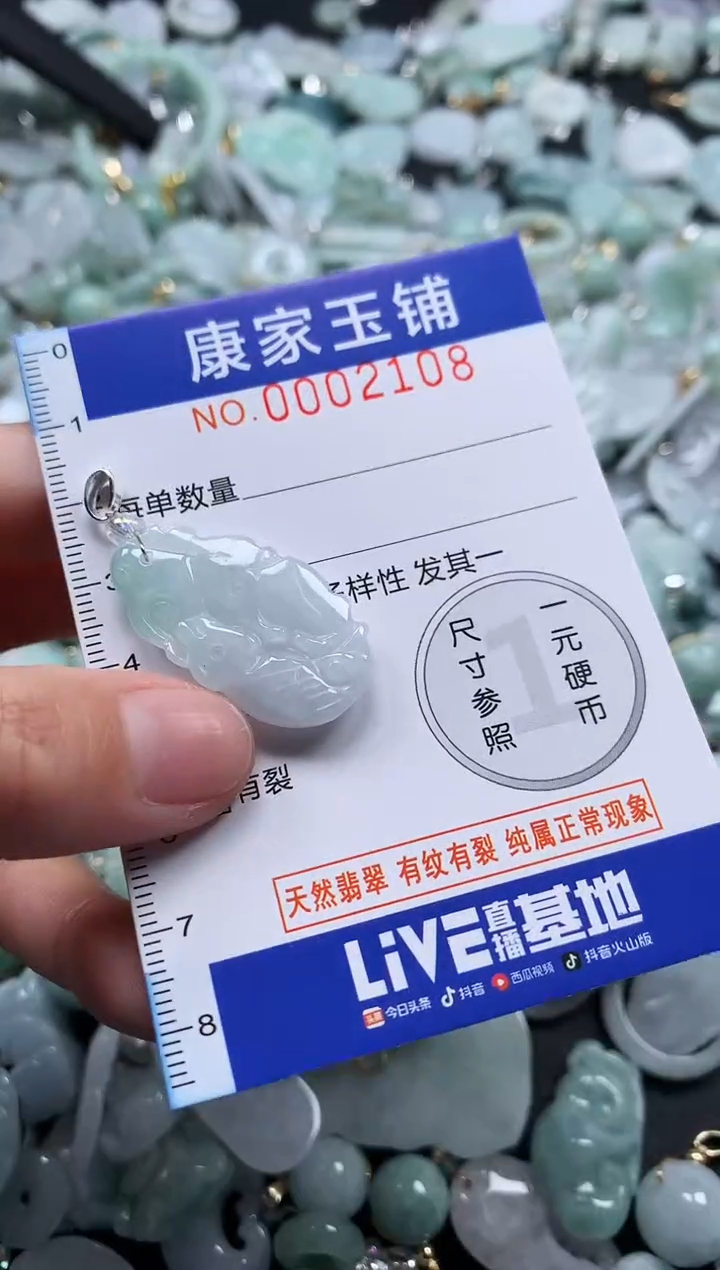 颈饰未镶嵌翡翠2108