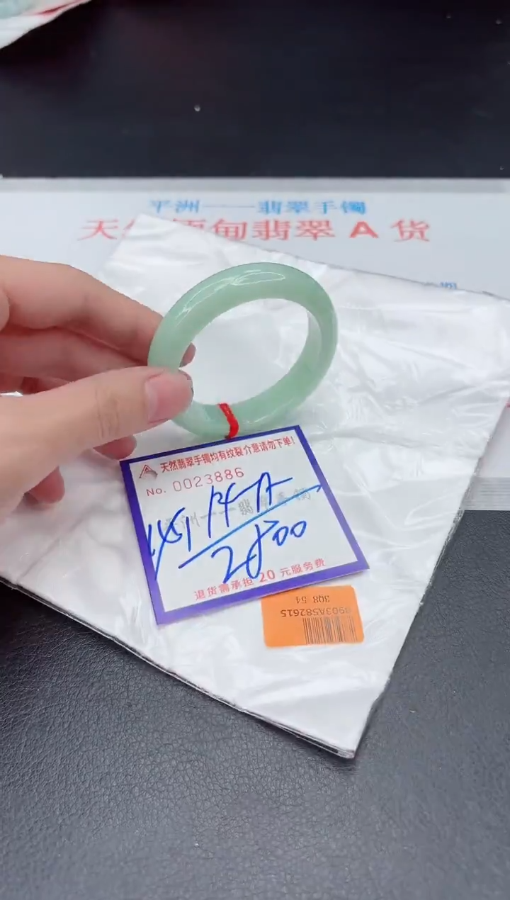 未镶嵌手镯翡翠11111