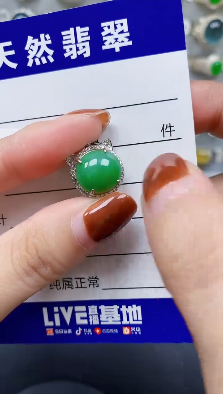 翡翠银S925镶嵌颈饰196