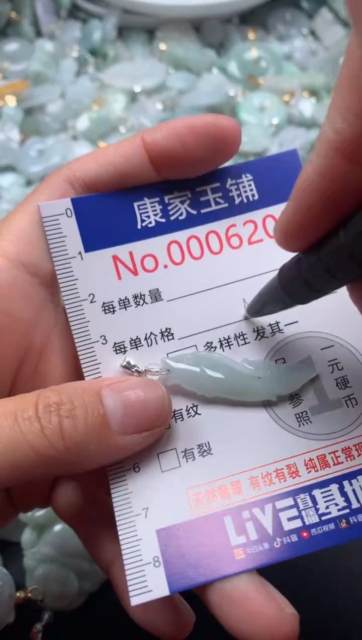 颈饰未镶嵌翡翠6205