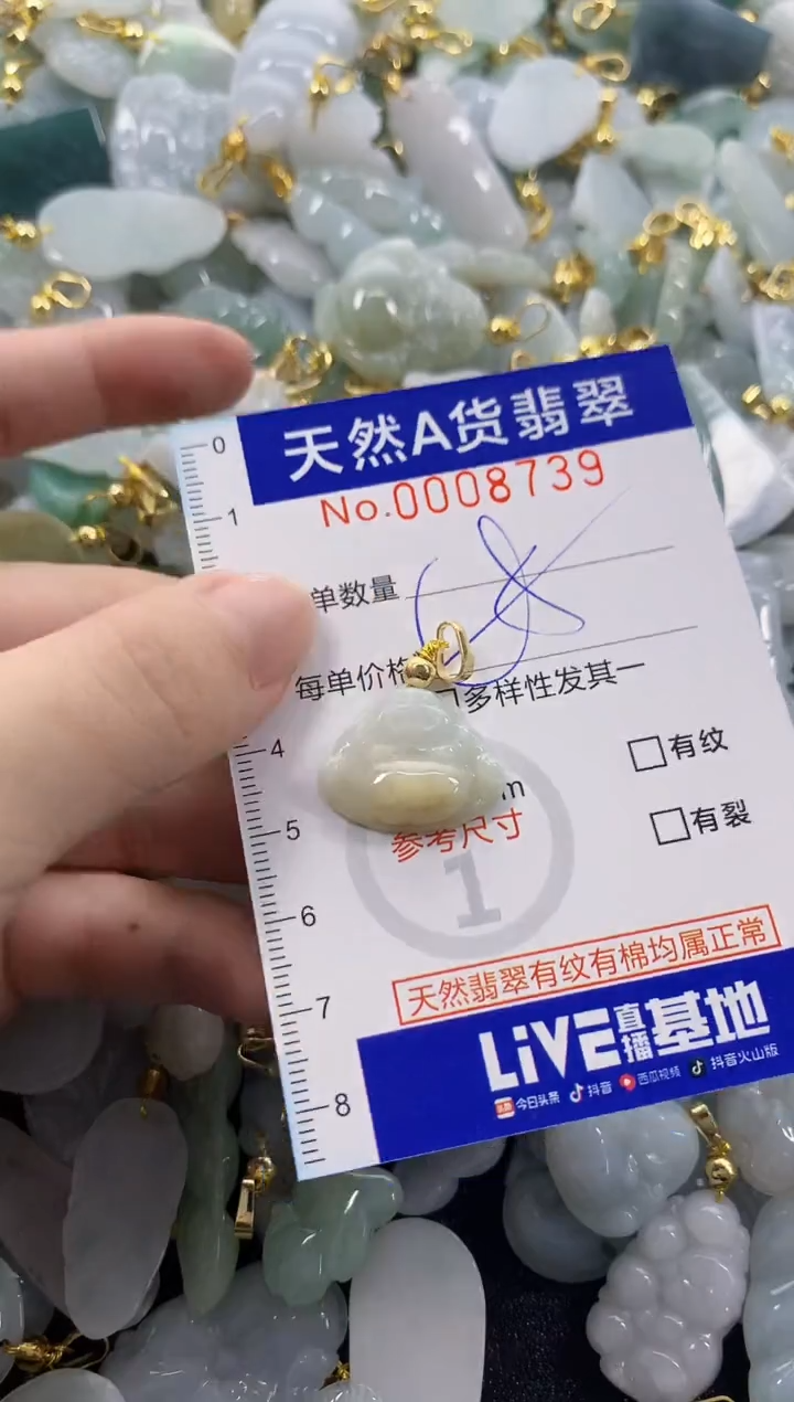 颈饰未镶嵌翡翠天然A货翡翠