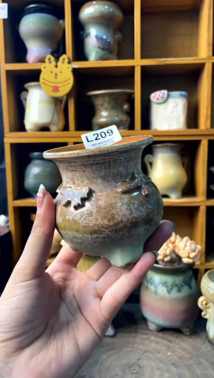 209内口7【多肉花盆多肉盆】