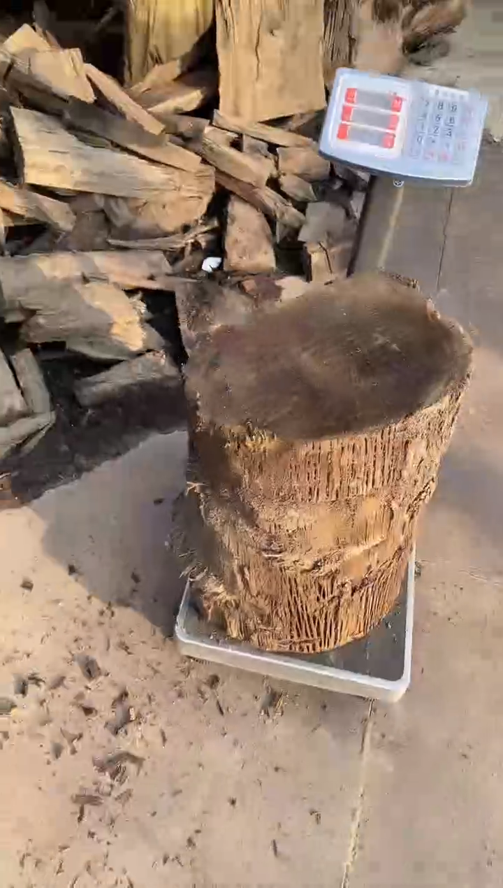 ?****?金丝楠木原料木材