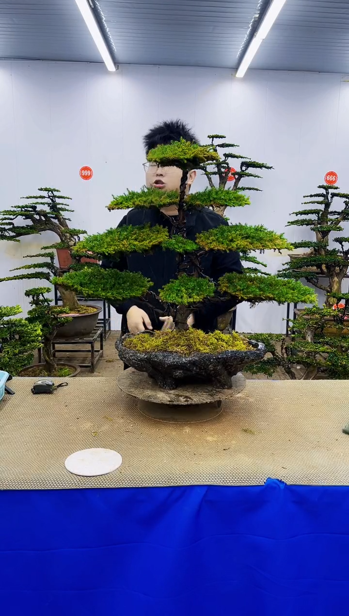 完全开放一物一拍，所见即所得