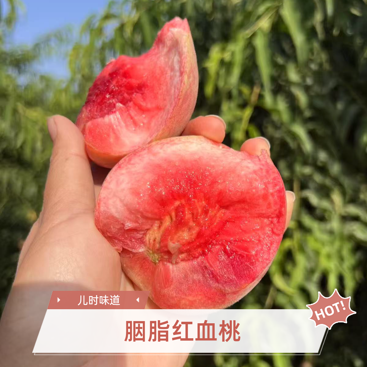 湖北胭脂红血桃血丝离核毛桃红肉桃老少皆宜现摘现发顺丰京东直达
