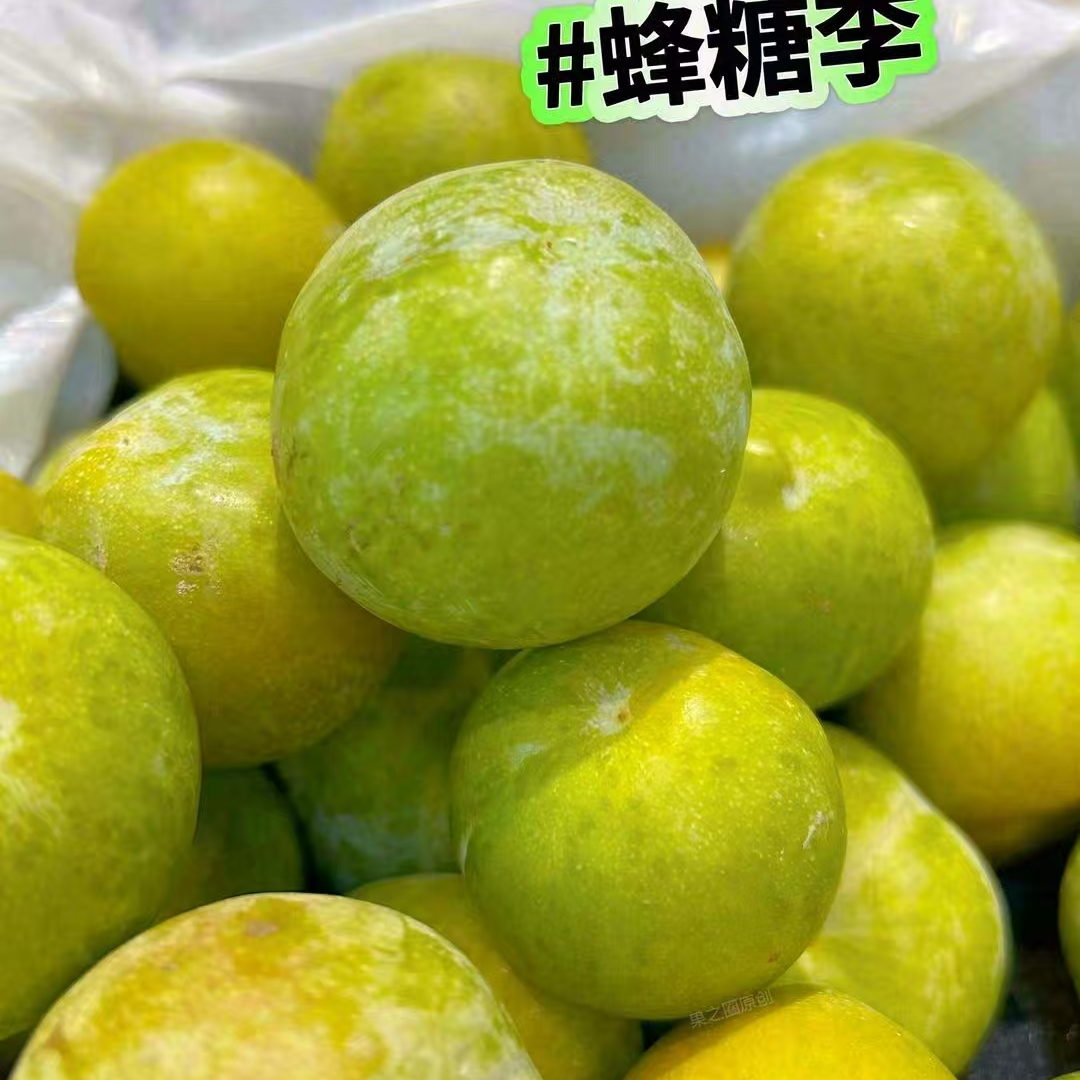 蜂糖李约500克      
