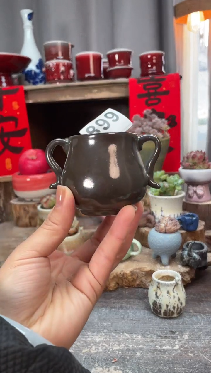 【闪购商品】摆件899知木小芳花盆