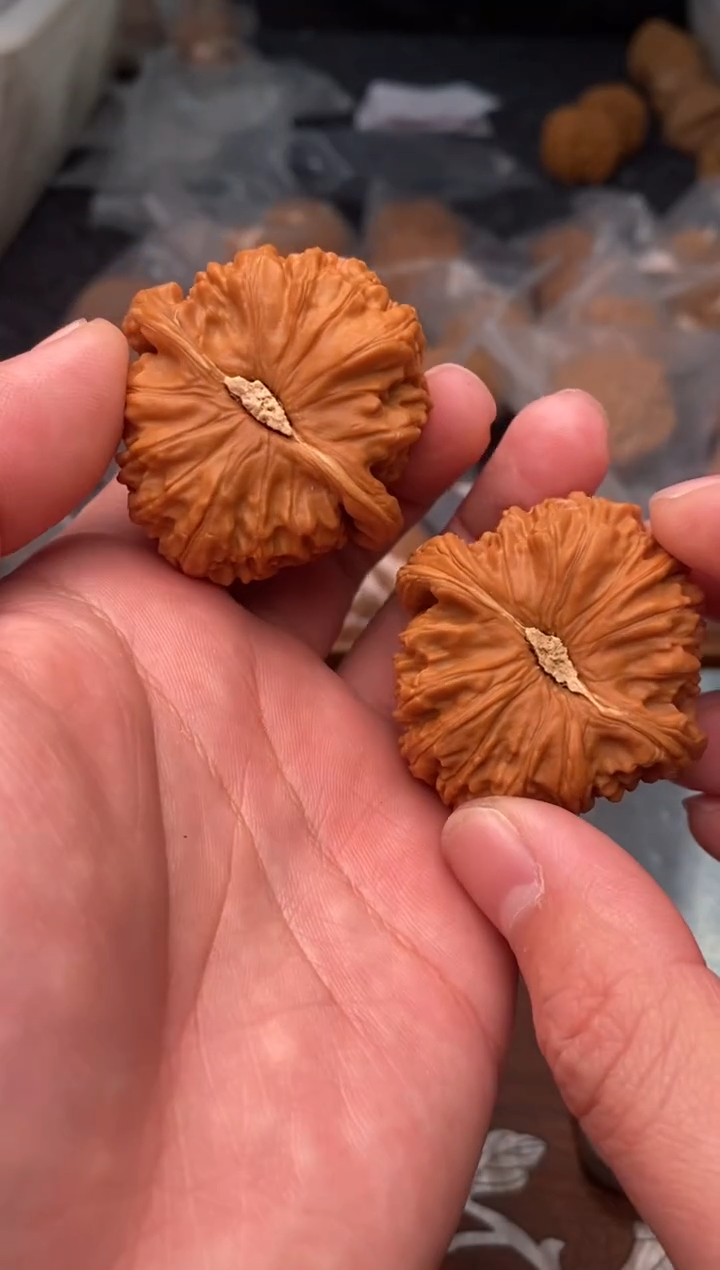 【闪购商品】文玩核桃把件G81号42尺白狮子