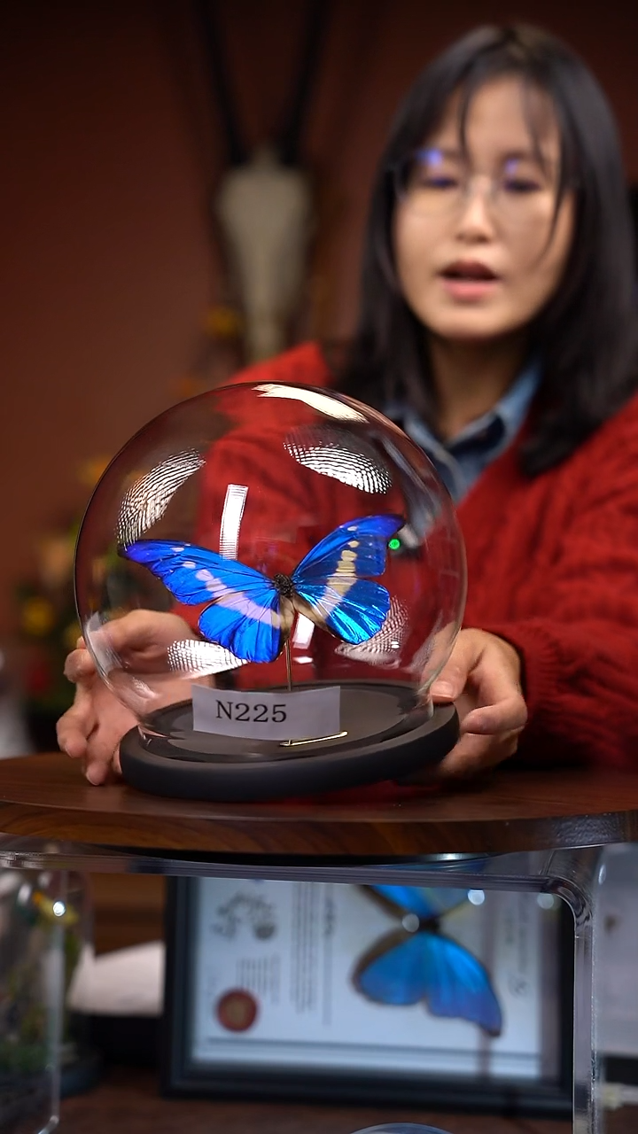 N225    光明女神玻璃球