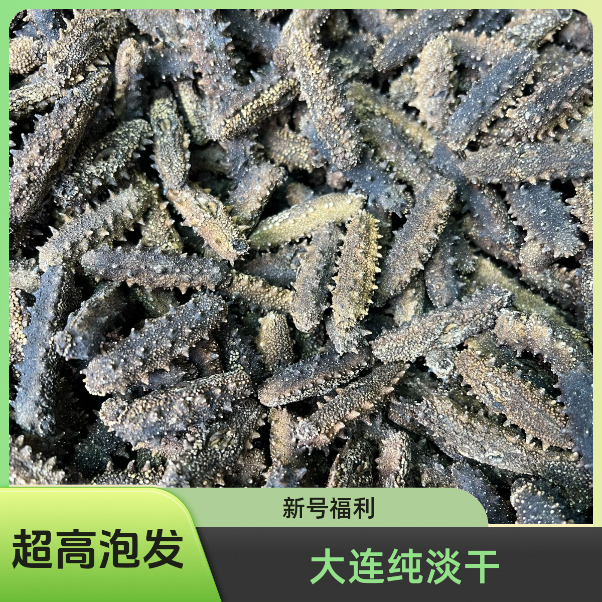 11【纯淡干福利】大连底播国标纯淡干海参