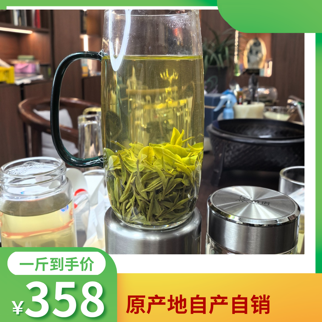 （春茶三里美玉林）大悟三里柏园雨前龙井2025年味浓耐泡