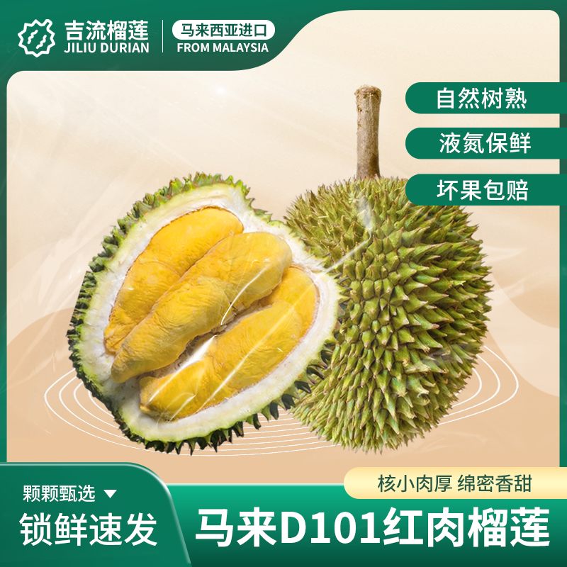 【D101红肉榴莲保5房】马来西亚树熟液氮榴莲 当季新果 顺丰包邮