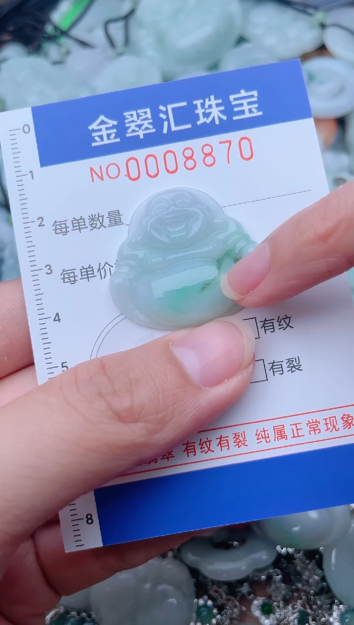 颈饰未镶嵌翡翠8870