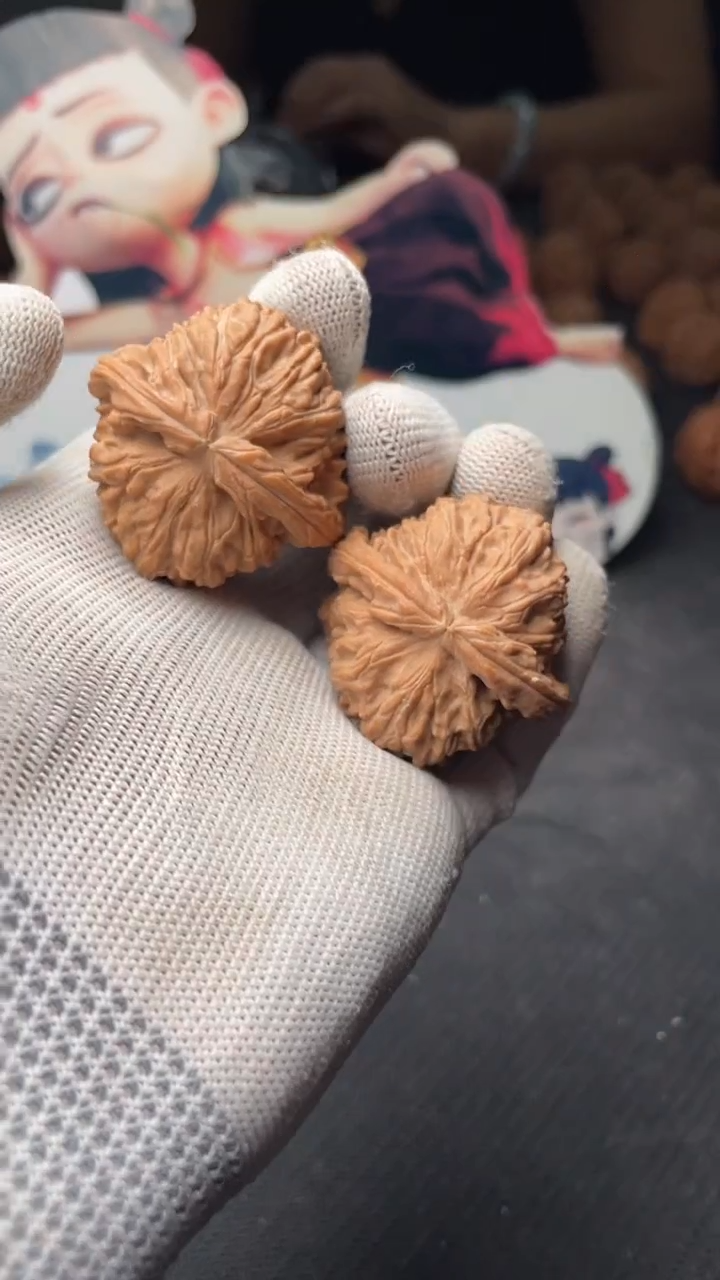 把件文玩核桃a09  白狮子 39尺