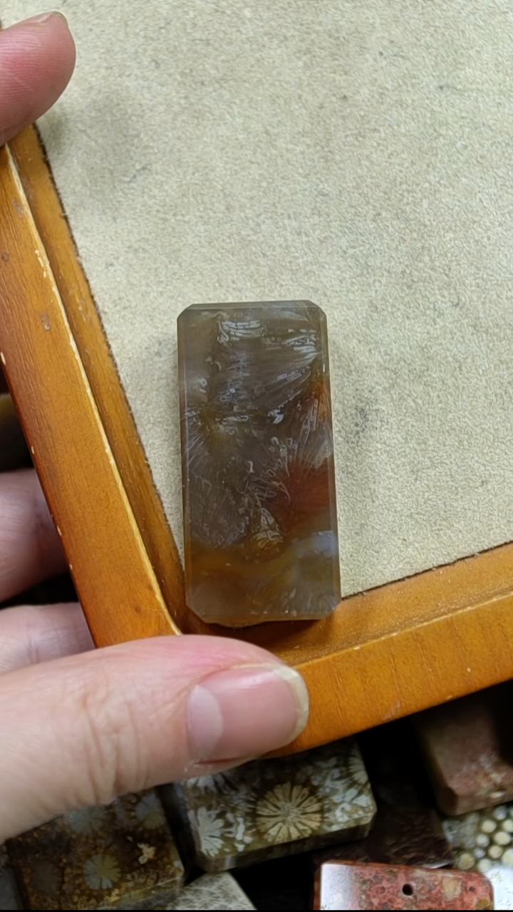 未镶嵌颈饰硅化玉意境共生凤尾