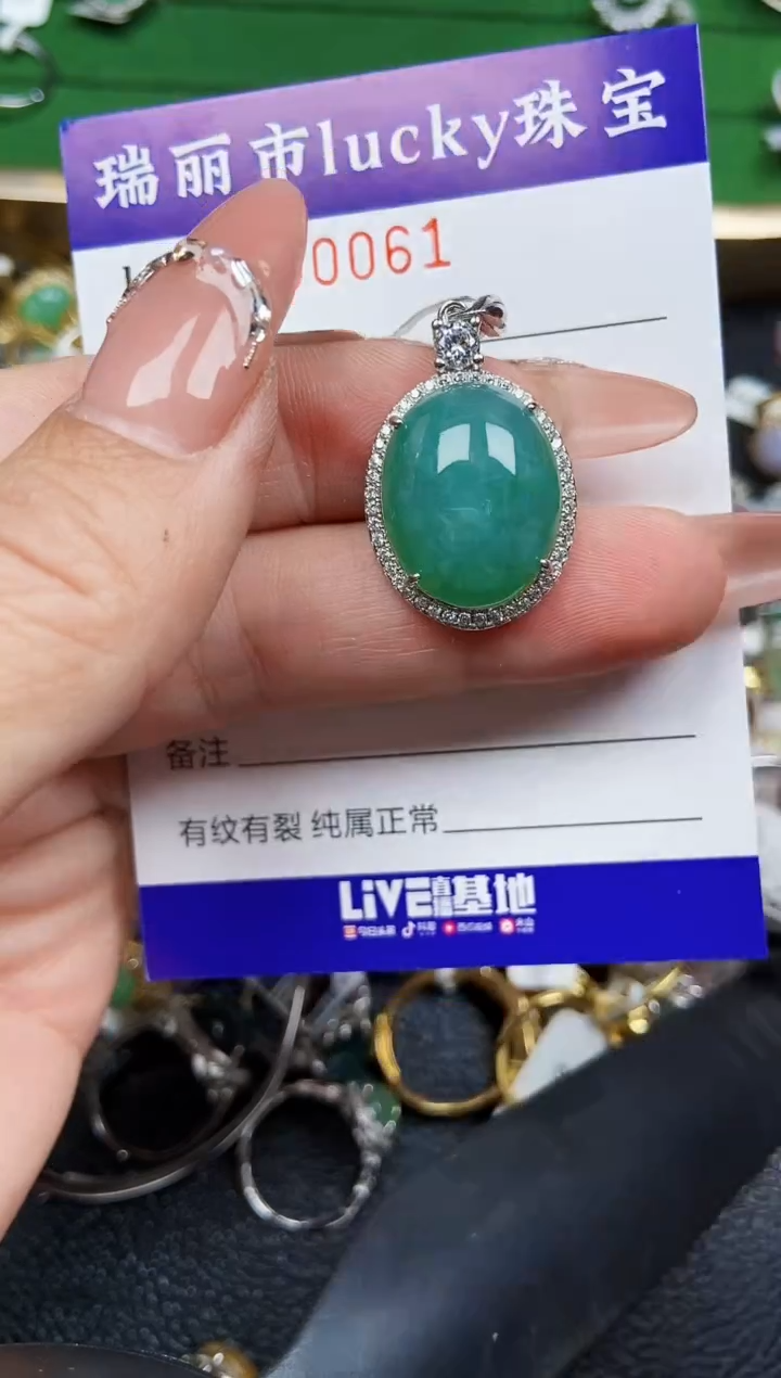 【闪购商品】翡翠颈饰银S925镶嵌0061
