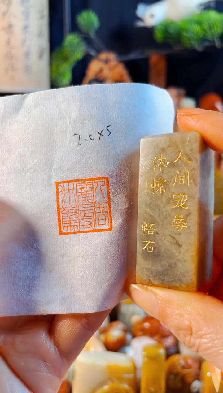 巴林石印石手工篆刻《人间宠辱休惊》