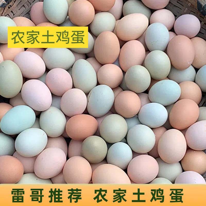 茶山雷哥推荐湖南农家散养五谷土鸡蛋30 枚/鸭蛋30枚