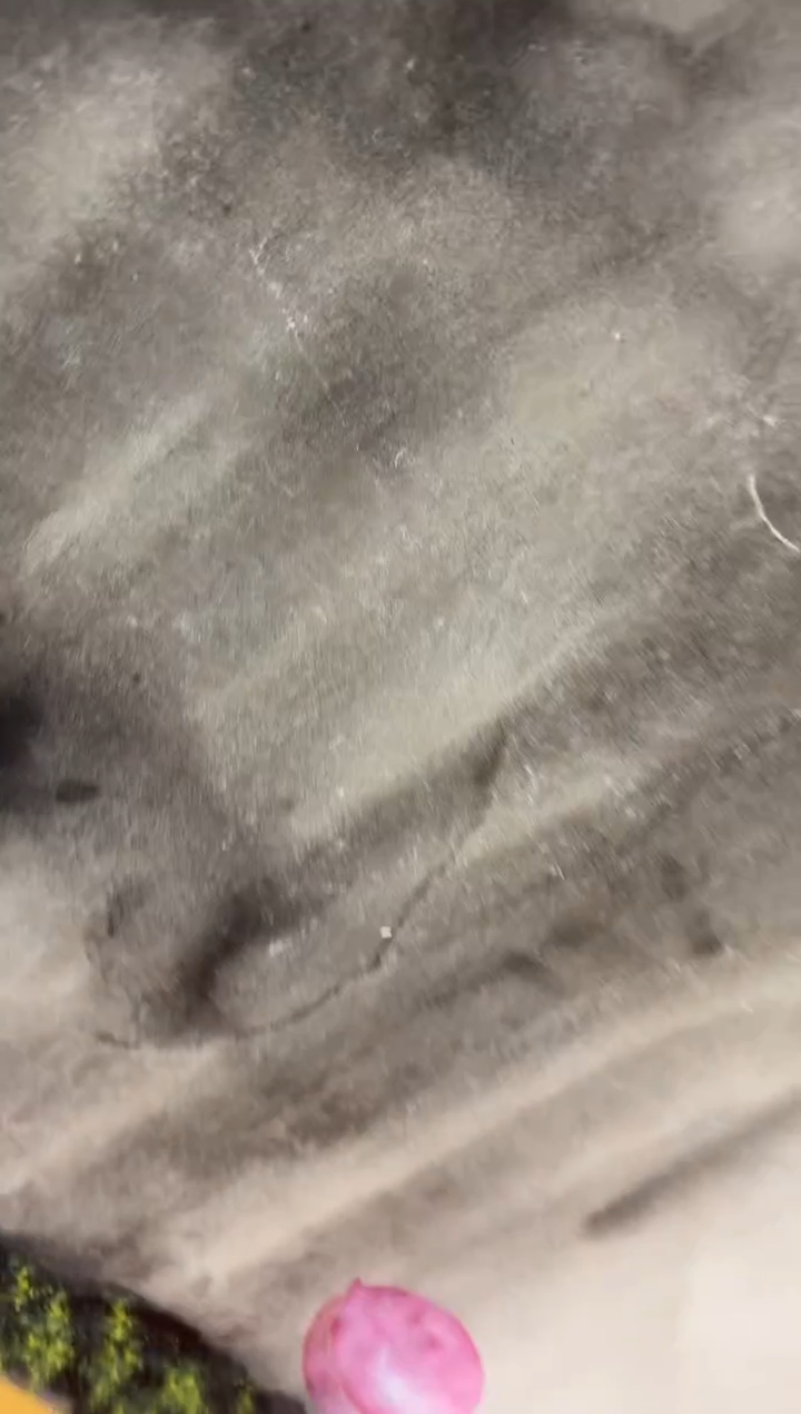 【闪购商品】国画国画孙桂国老师字画带亲笔合影证书6-29