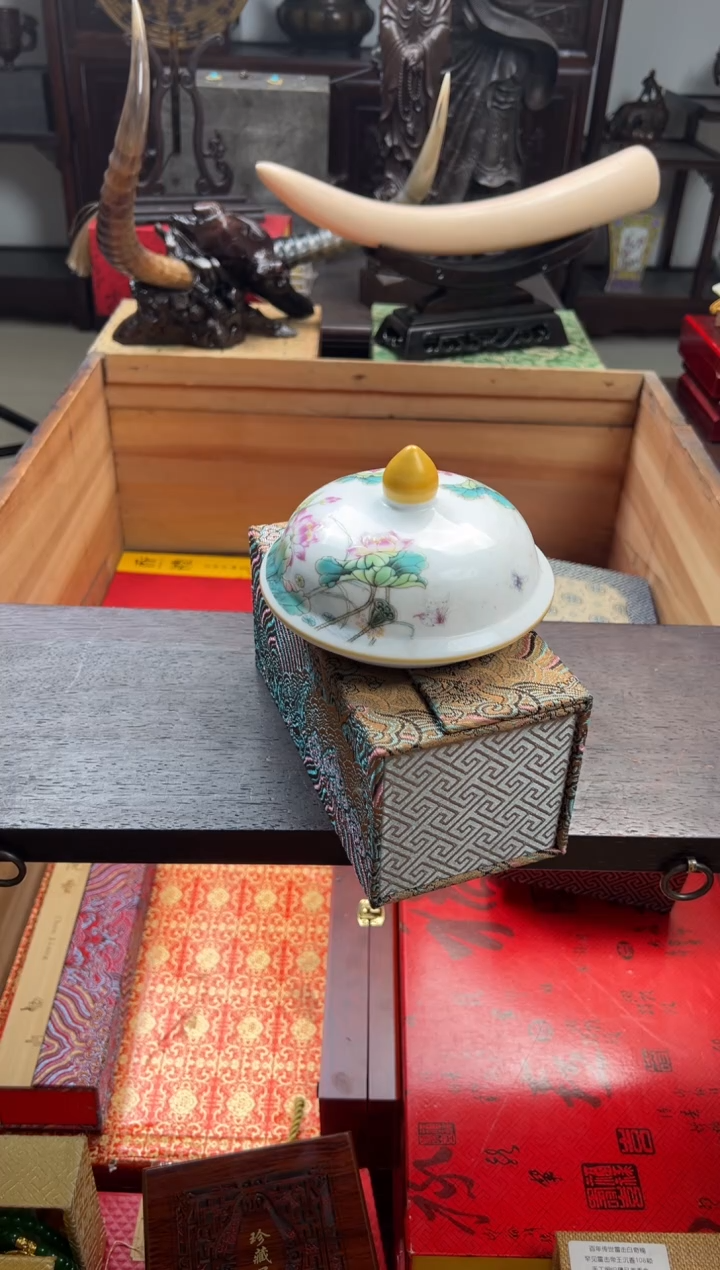 【闪购商品】瓷片————————————西西带教