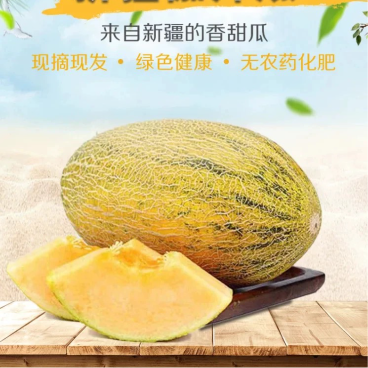 【顺丰次日达包邮】新疆八六王哈密瓜爆精品爆甜皮薄产地直采新疆维吾尔自治区