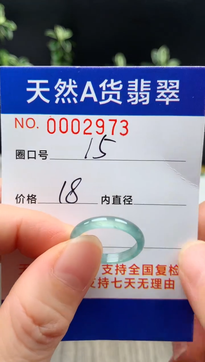 未镶嵌戒指翡翠15#