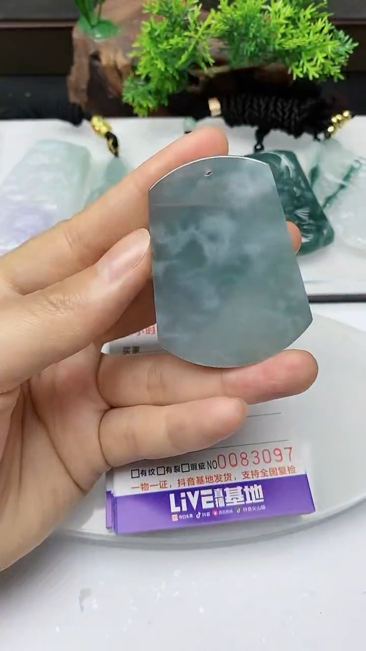 【闪购商品】翡翠颈饰未镶嵌         