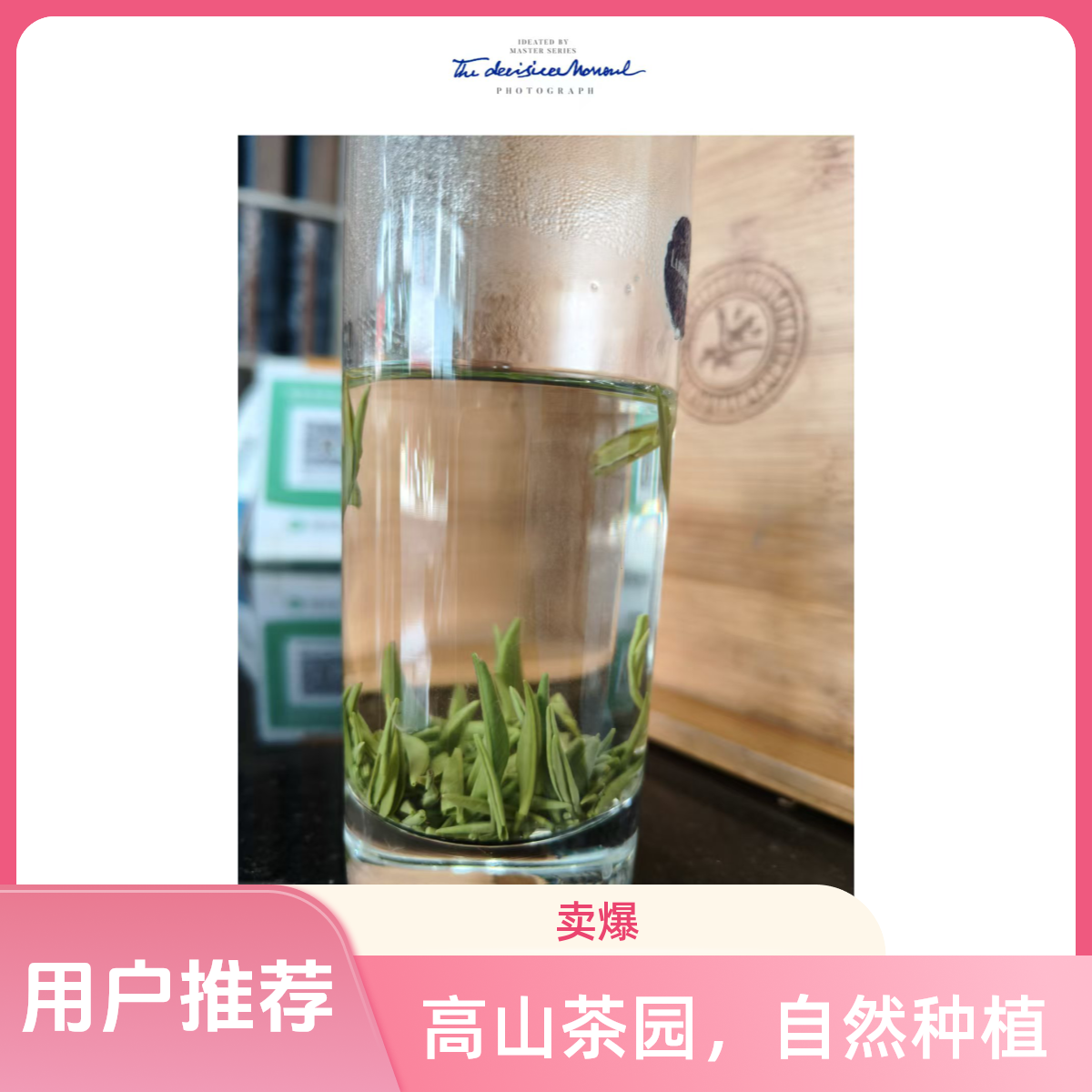 五峰贡芽 茶汤独特清新 醇香回甘