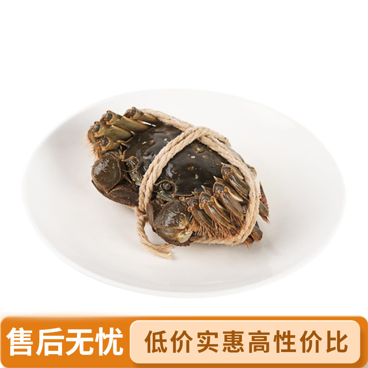 128鲜活2.5母蟹10只（单只约2.1-2.5两）