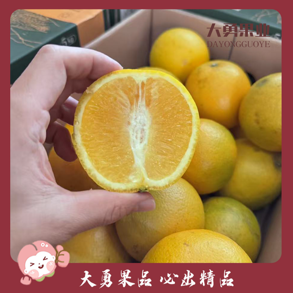 【1箱】高原王子橙  毛重约9-10斤  (清甜多汁，表面微花斑不影响口感，介意勿拍，两种礼盒随机)