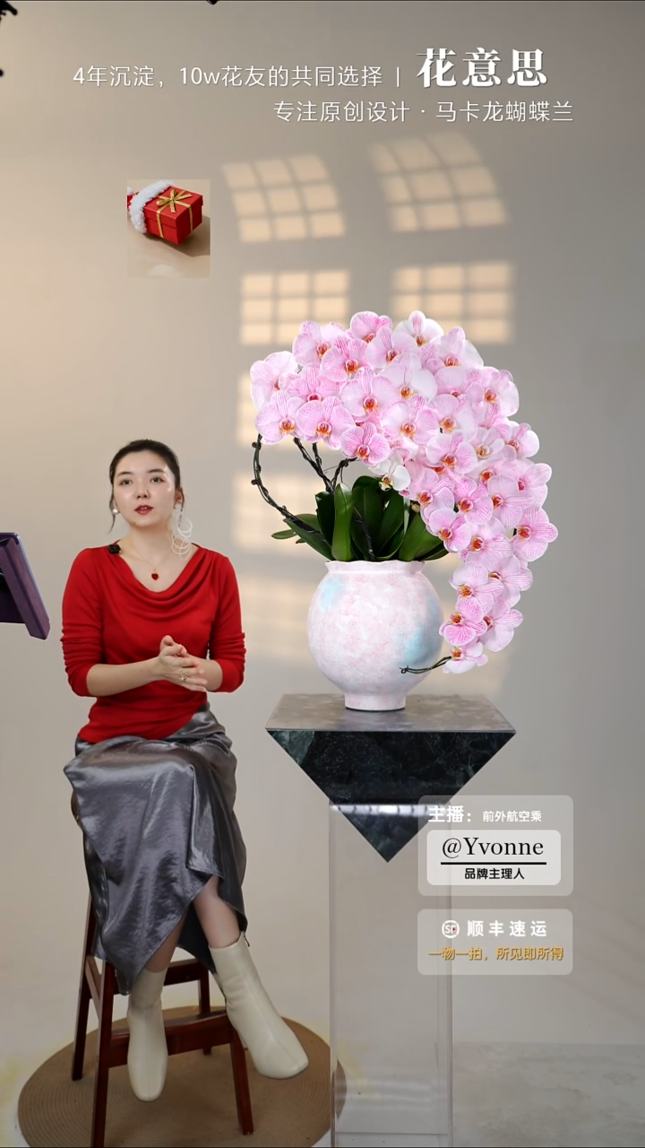 全部花朵005一物一拍蝴蝶兰艺术盆景