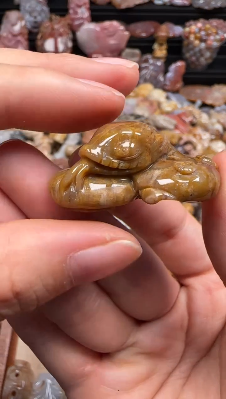 【闪购商品】硅化珊瑚（珊瑚玉）颈饰未镶嵌651