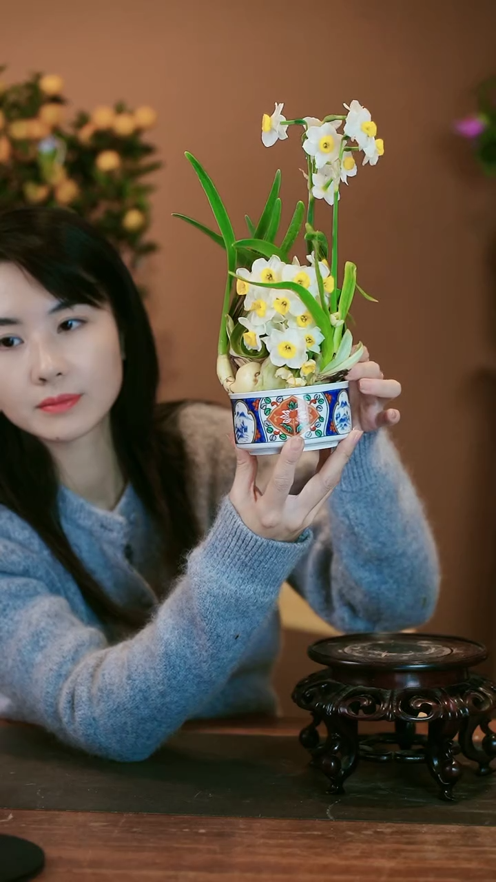 【闪购商品】雕刻水仙