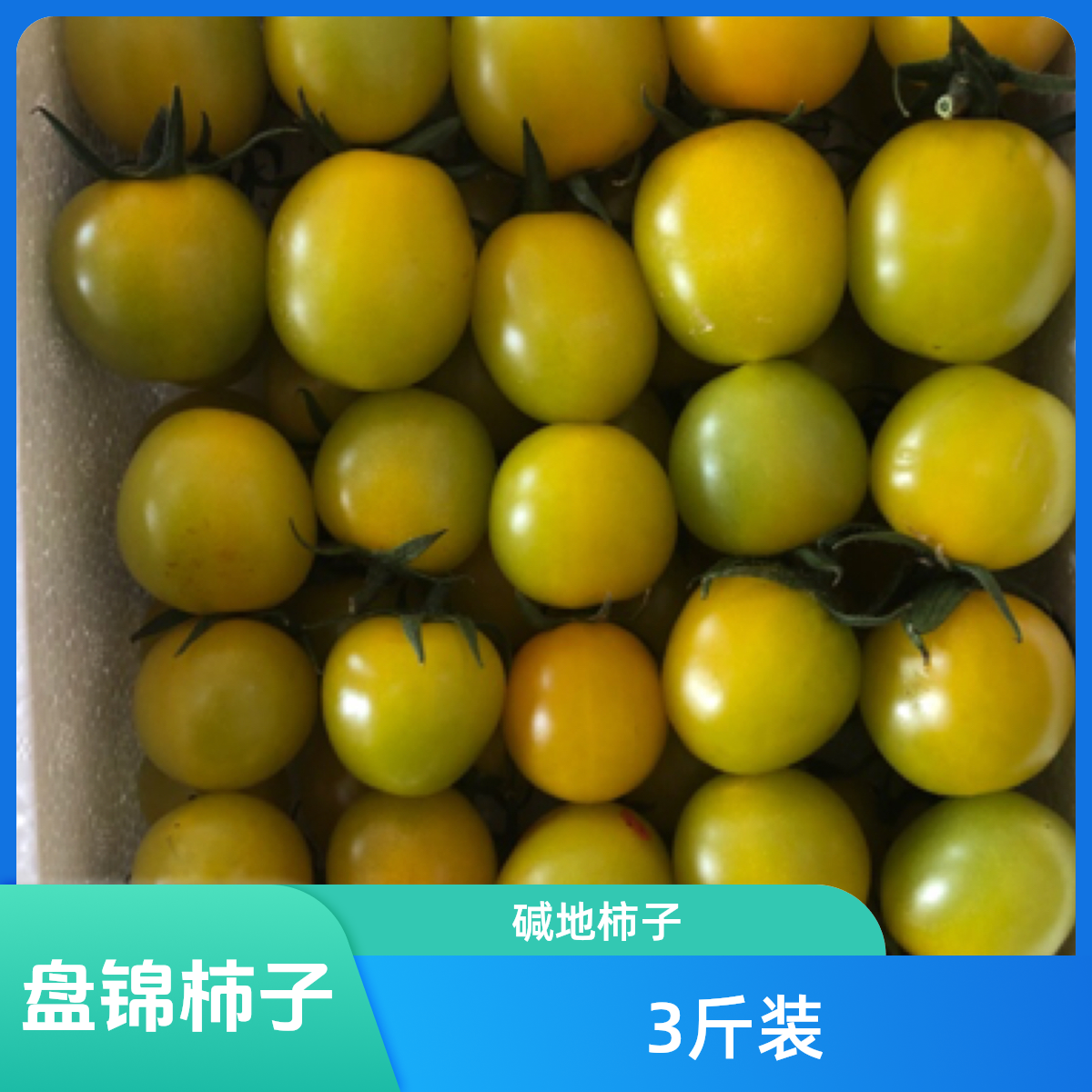 盘锦碱地柿子（黄姑娘）3斤