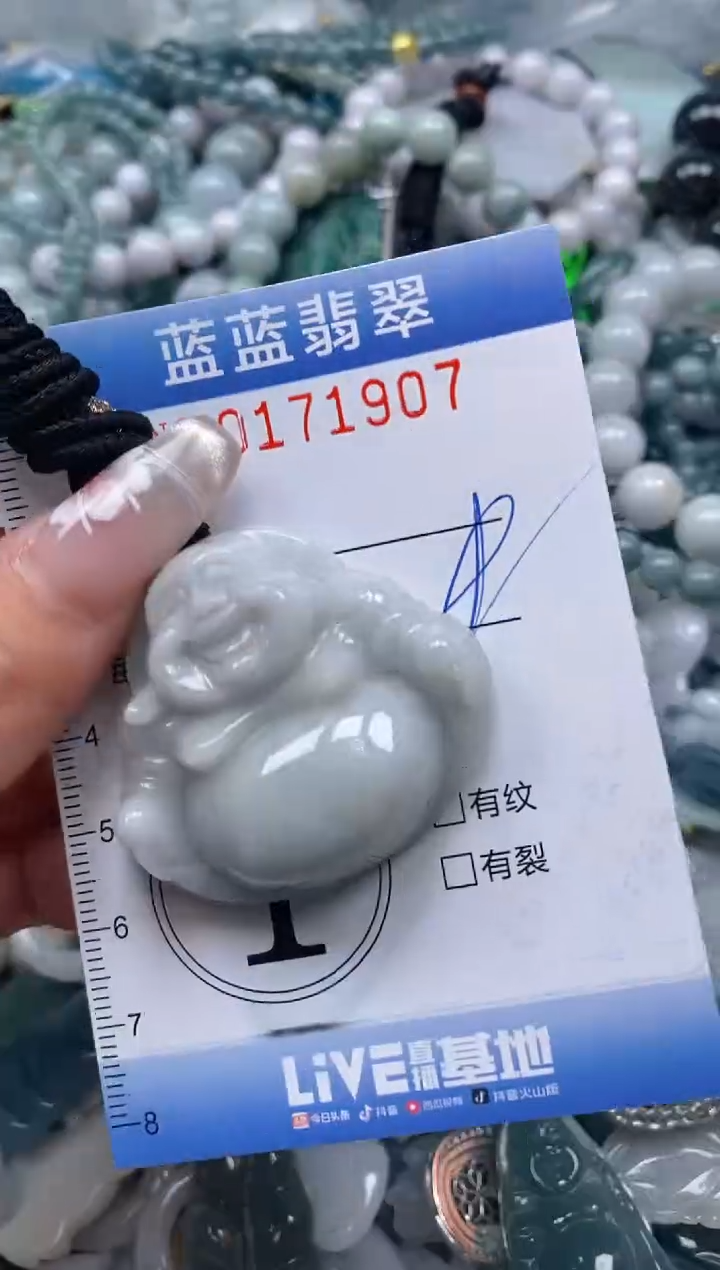 【闪购商品】翡翠颈饰未镶嵌闪购0171907