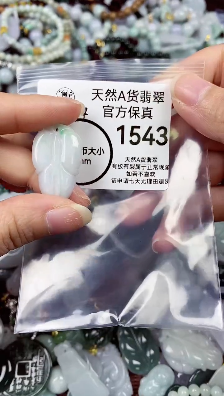 【闪购商品】翡翠颈饰未镶嵌天然A货翡翠1543