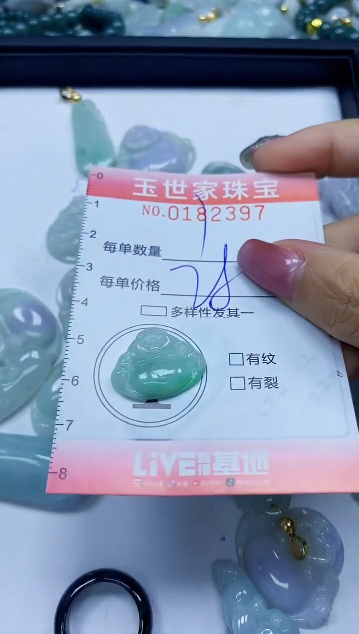 【闪购商品】翡翠颈饰未镶嵌闪购0182397