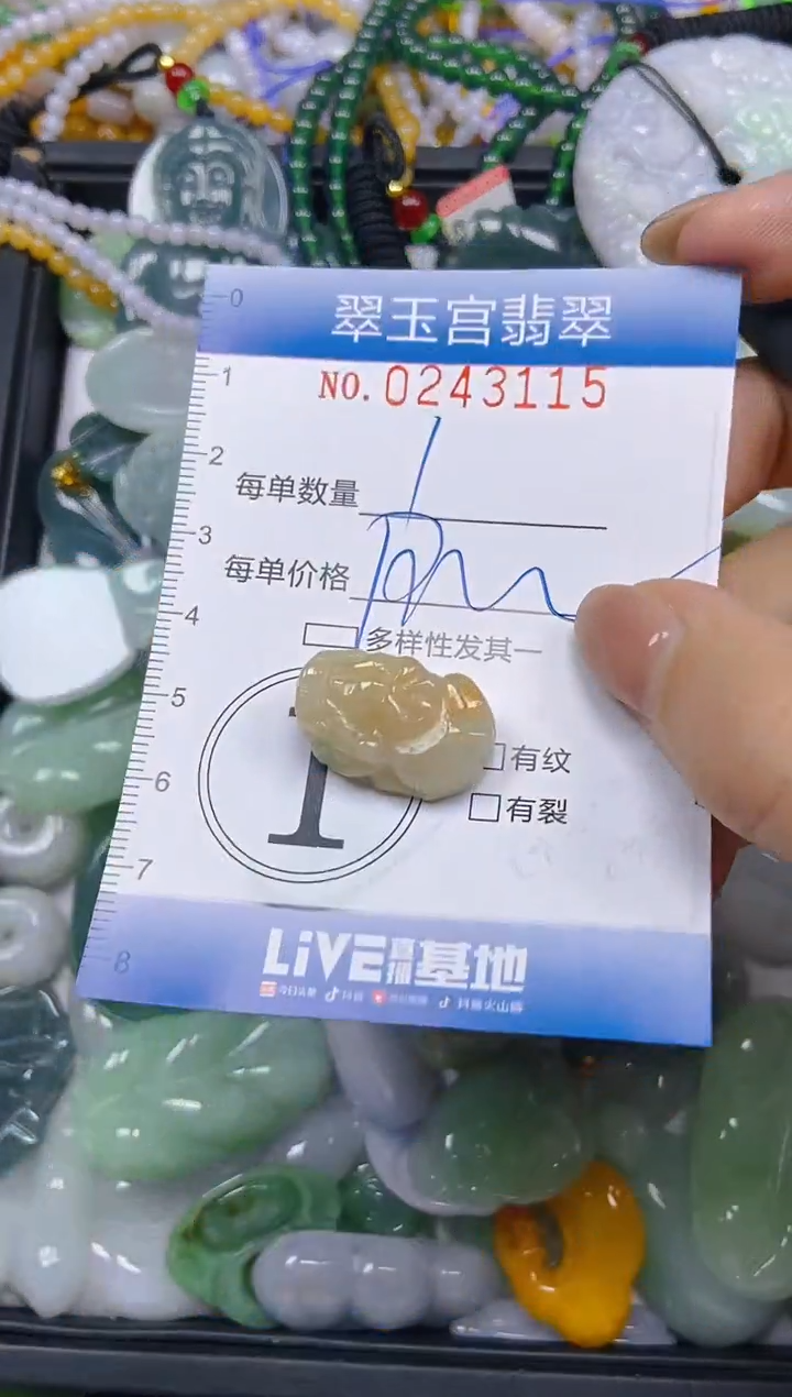 颈饰未镶嵌翡翠闪购C0243115
