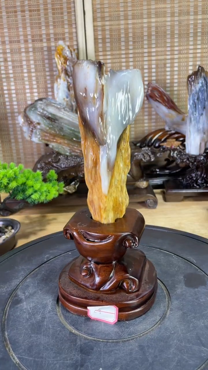 硅化玉珠宝奇石未镶嵌230
