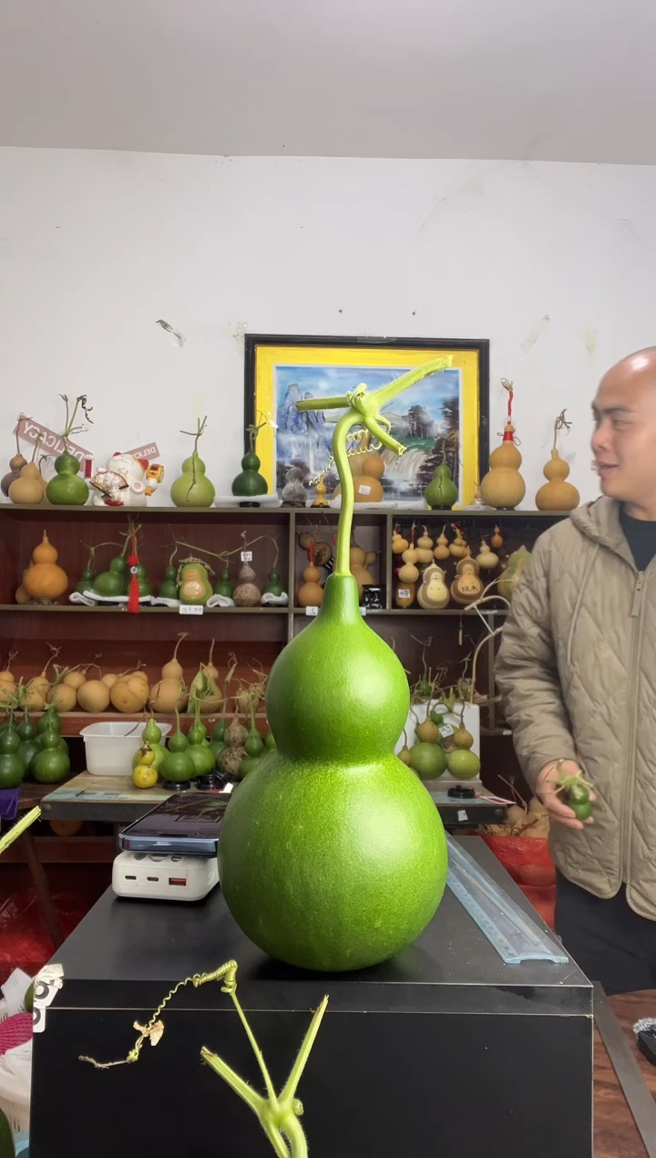 恒*心000天然葫芦摆件 一物一拍龙头不保售后