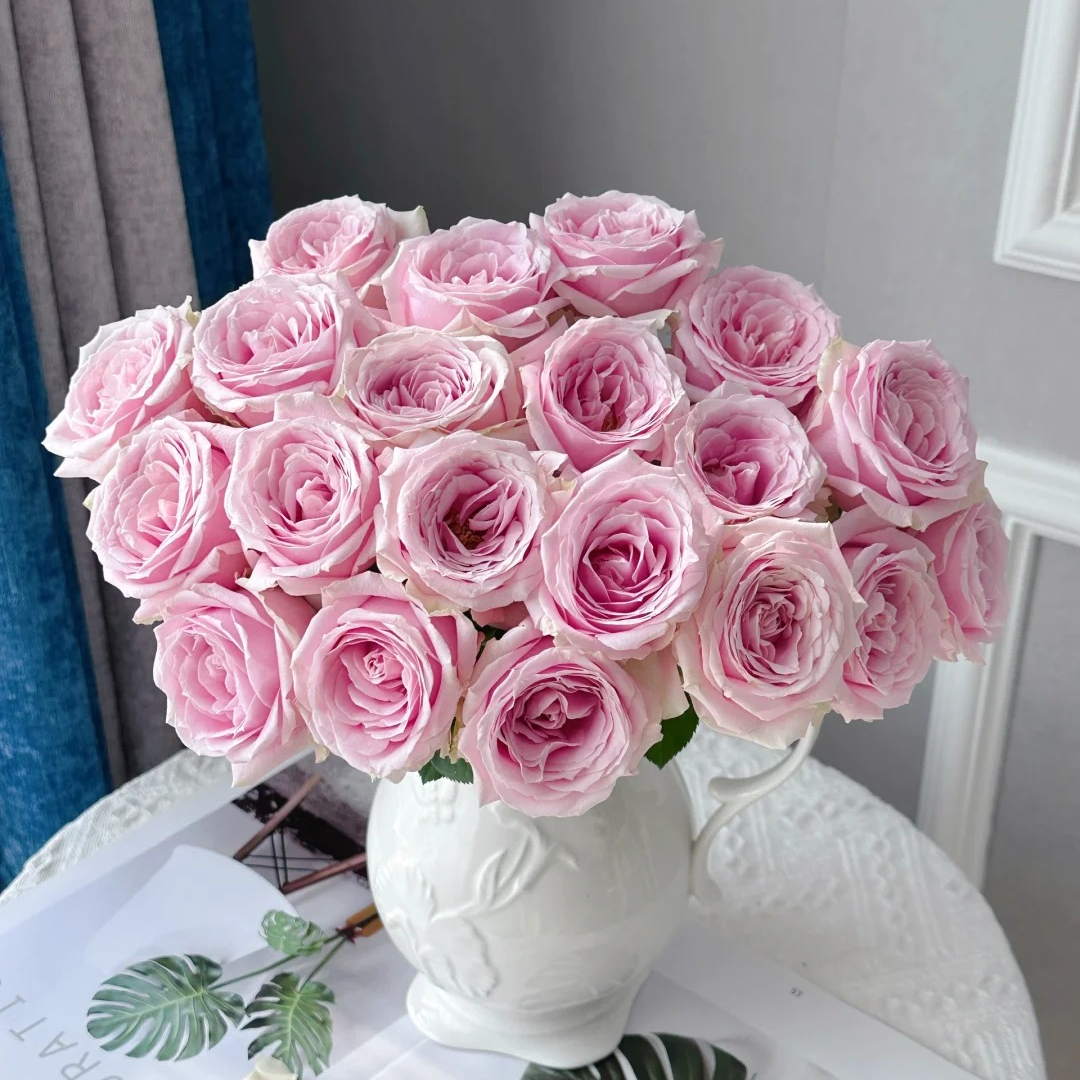 【粉红雪山】单头玫瑰（全场同一地址两单顺丰冷链包邮噢~）